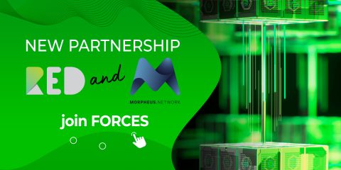 New partnership - RED and Morpheus join forces