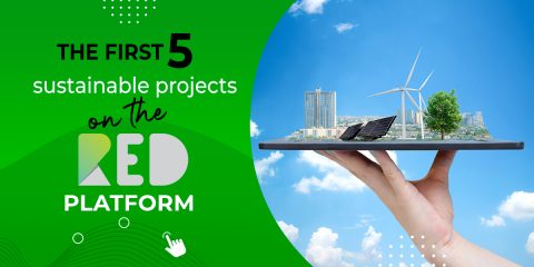 the 5 first projects on the red platform